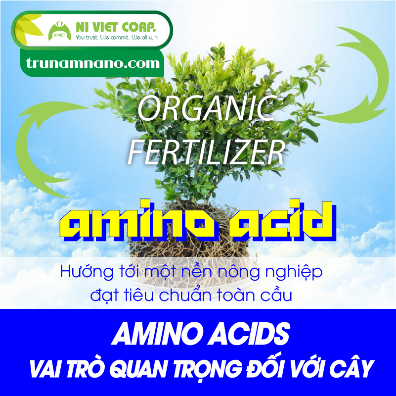 Phân bón Amino Acid là gì? Tác dụng của amino axit đối với cây trồng
