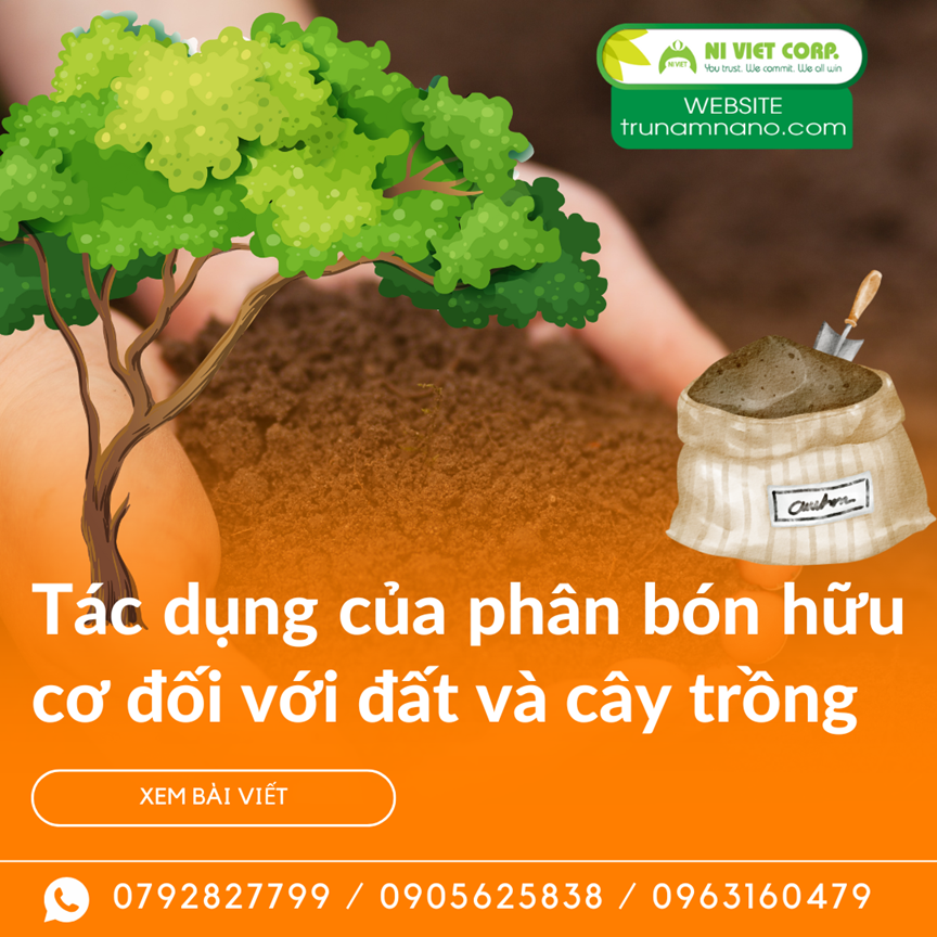 Tác dụng của phân bón hữu cơ đối với đất và cây trồng