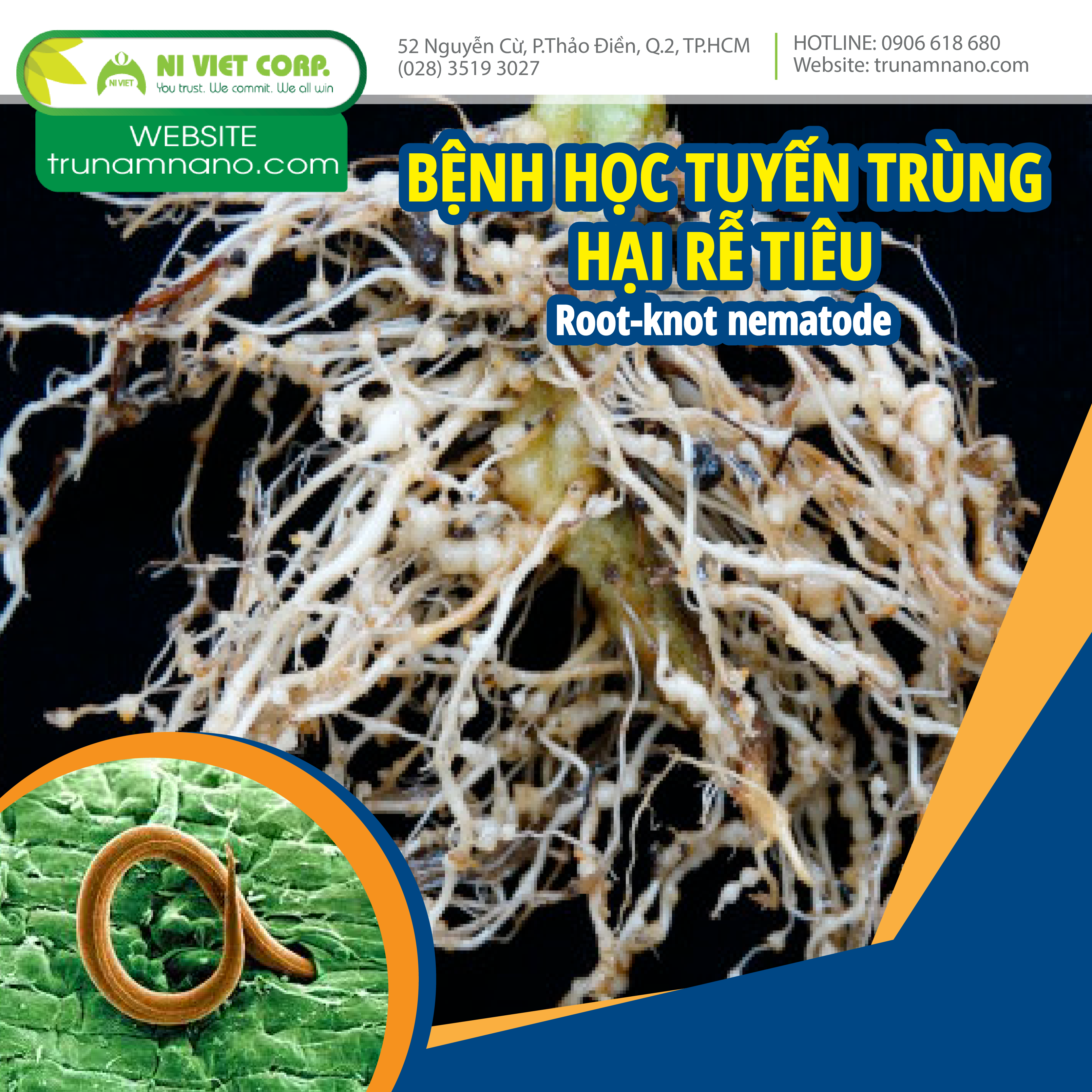 Tìm hiểu tuyến trùng hại rễ tiêu và giải pháp phòng trừ bền vững