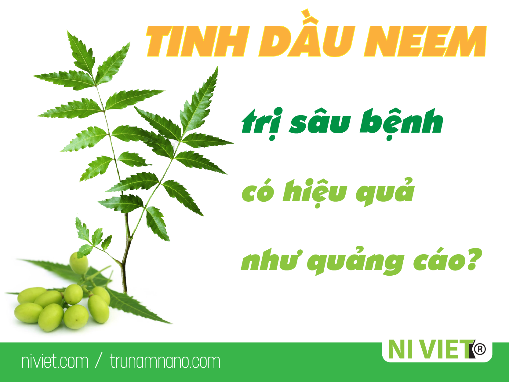 Tinh dầu neem trị sâu bệnh có hiệu quả như quảng cáo?