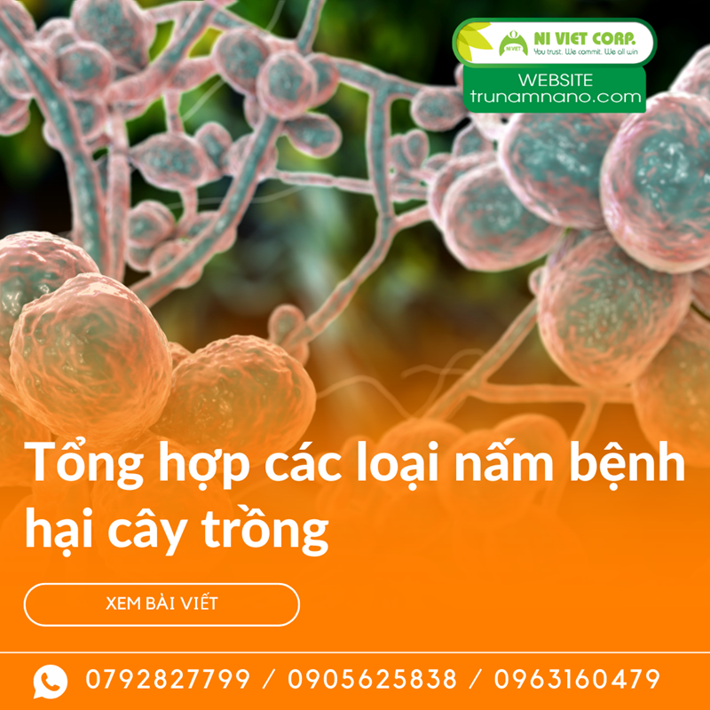 Các loại nấm bệnh hại phổ biến trên cây trồng