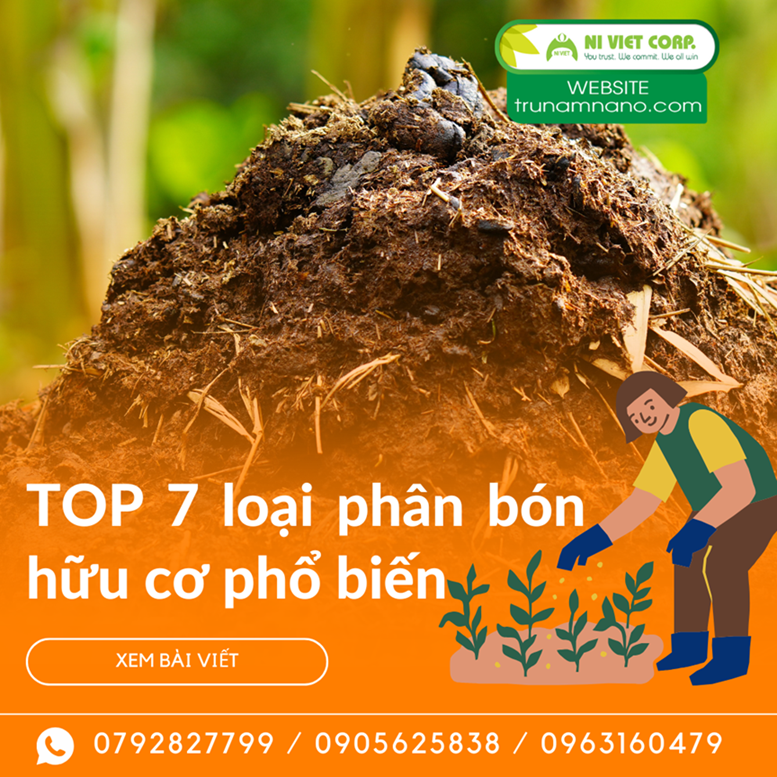 TOP 7 loại phân bón hữu cơ phổ biến hiện nay