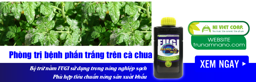 nano-dong-fugi-nano-cu-thuoc-phong-tri-benh-phan-trang-tren-ca-chua