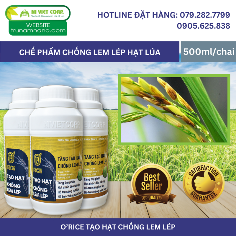 O'rice tạo hạt, chống lem lép hạt lúa