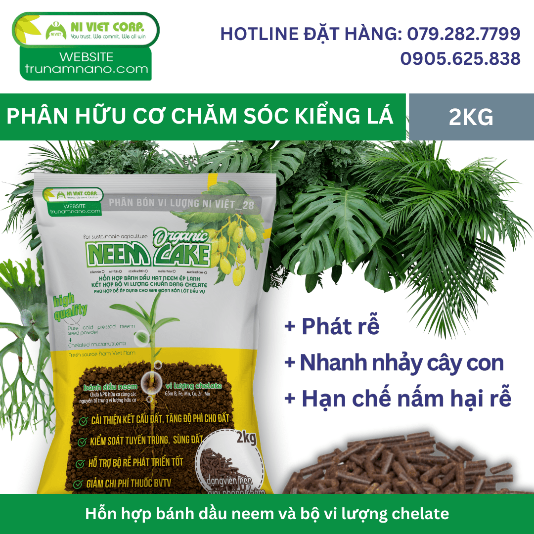 Phân bón hữu cơ vi lượng cho cây kiểng lá NEEM CAKE