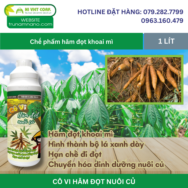 Phân bón hãm đọt nuôi củ khoai mì