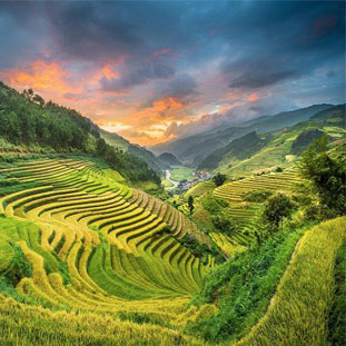 Đang cập nhật