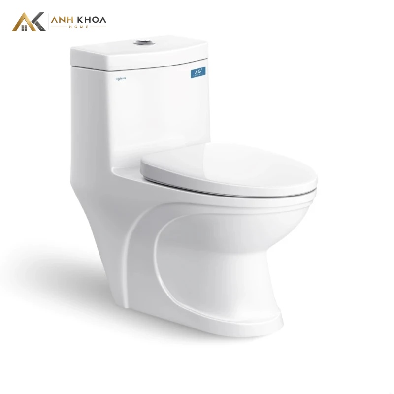 bon cau 1 khoi viglacera v39m sang trong