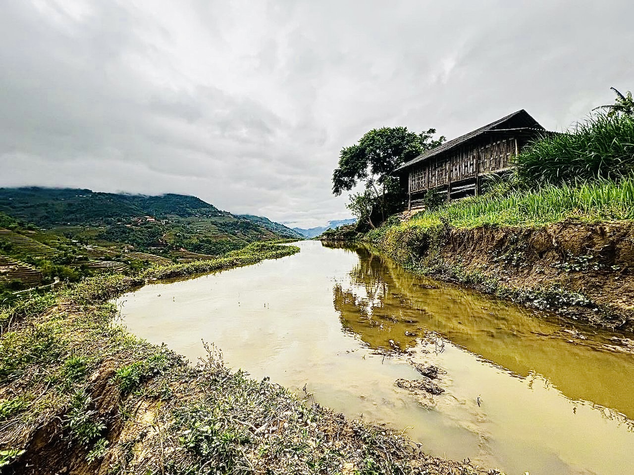 Randonnée à Hoang Su Phi en avril et mai : rizières en terrasses