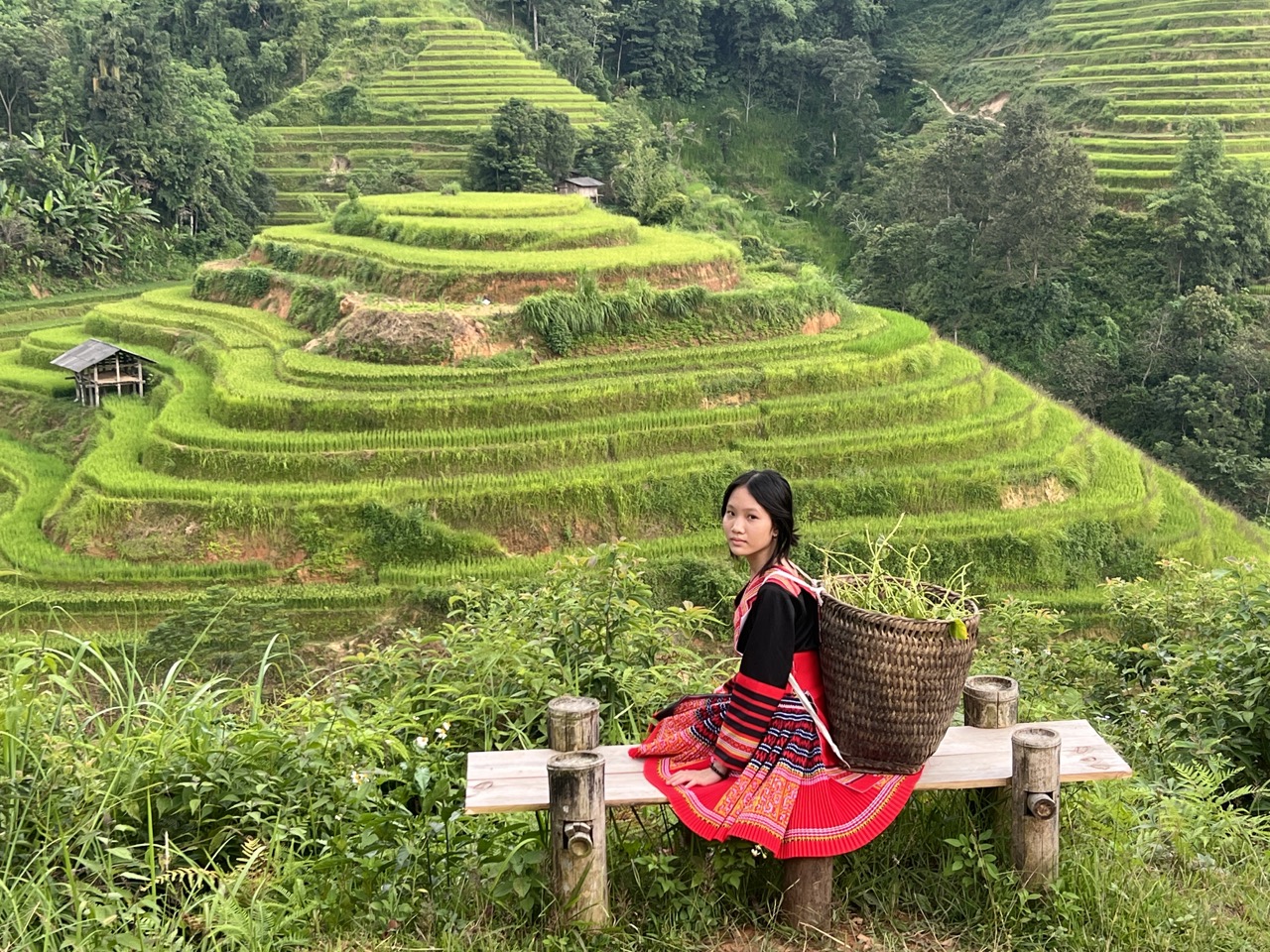 Tips for a loop Sapa- Bac Ha- Hoang Su Phi- Ha Giang- Ban Gioc waterfall...