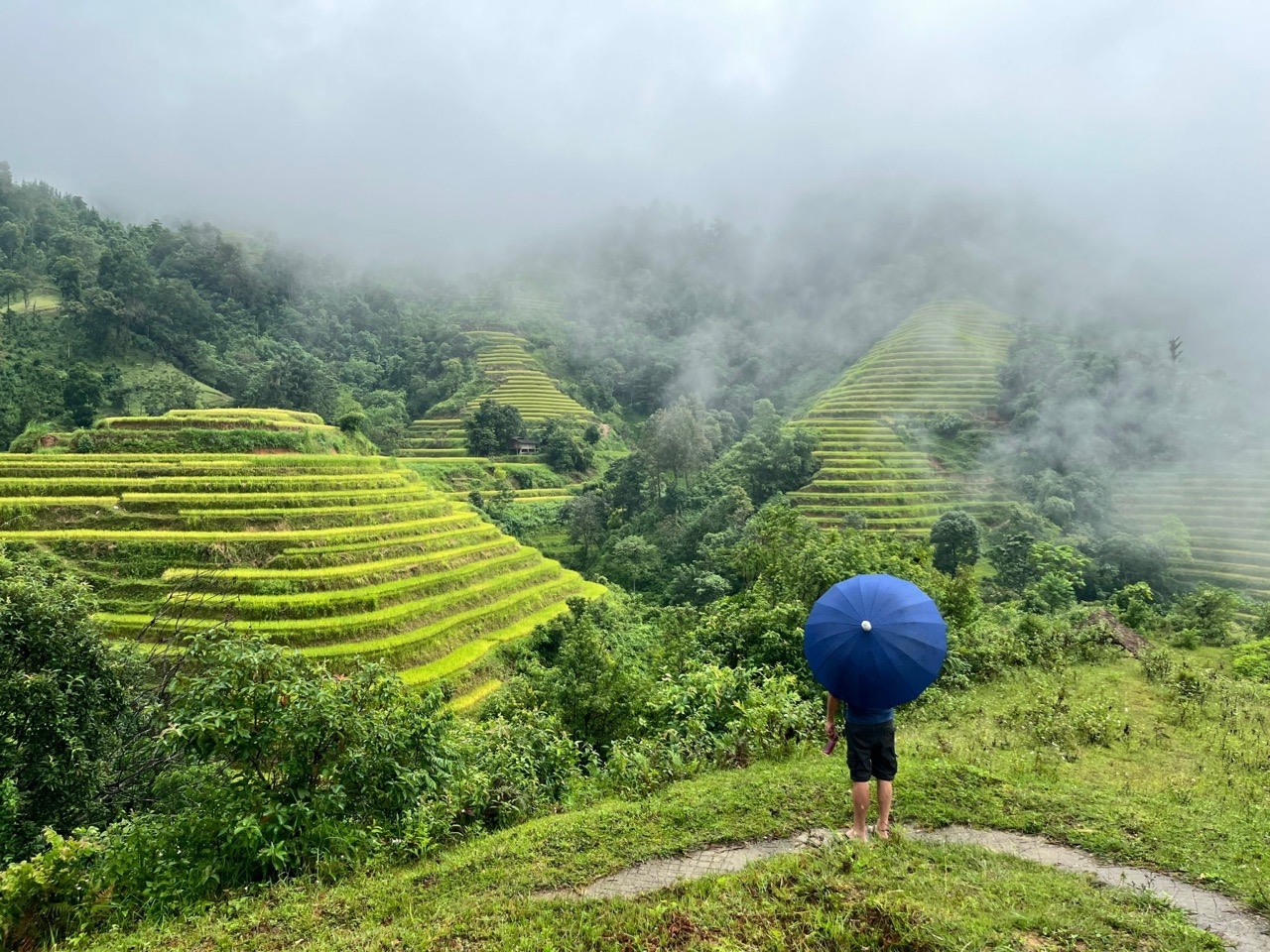 Expérience culinaire & randonnée à Hoàng Su Phì, Hagiang, Vietnam – un voyage d’émotions au cœur d’une nature sauvage