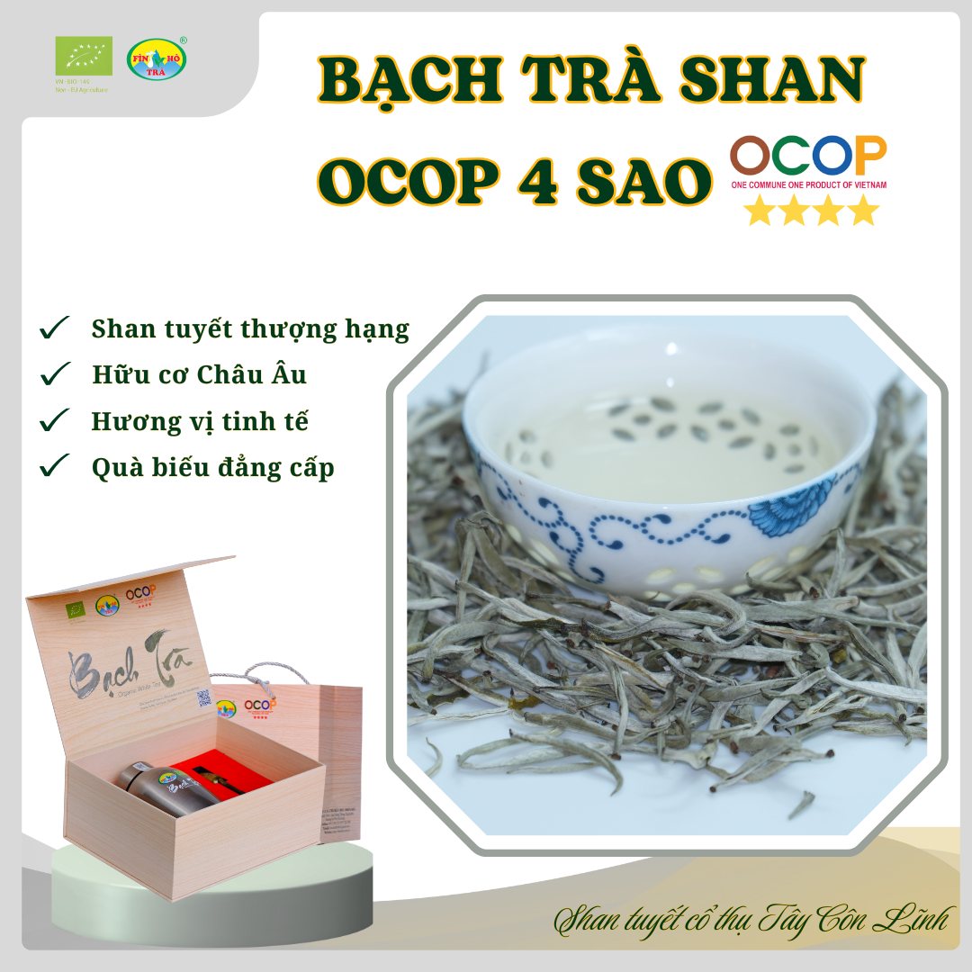 BẠCH TRÀ OCOP 4 SAO Mã SP: 64B