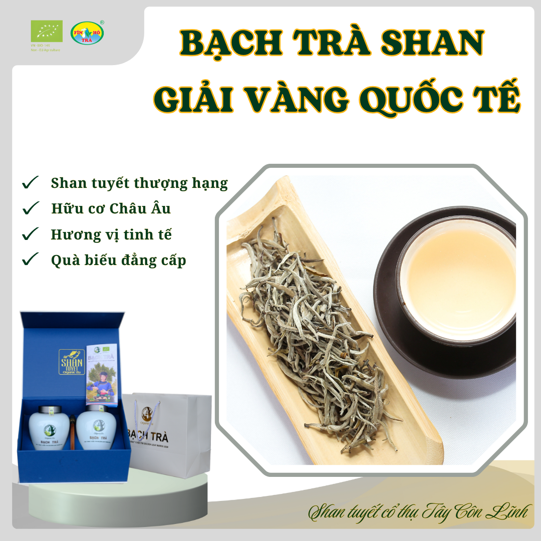 BẠCH TRÀ Giải vàng Quốc tế Mã SP: 73