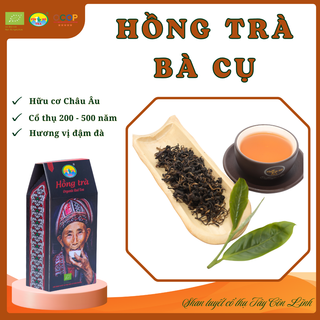 HỒNG TRÀ BÀ CỤ 1 tôm 2 lá Mã SP: 19