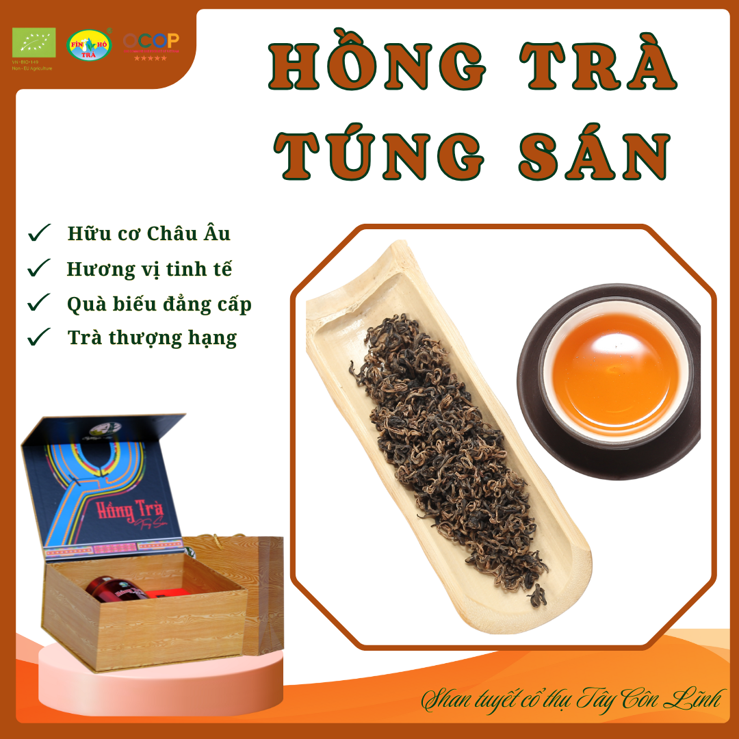 HỒNG TRÀ TÚNG SÁN- Mã SP: 65