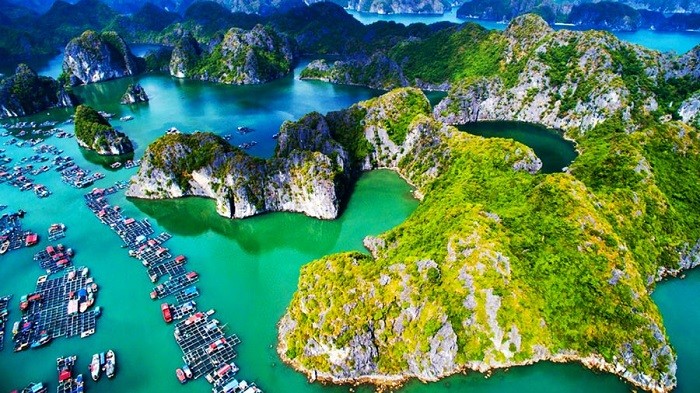 Sapa <=> Cát Bà island Bus
