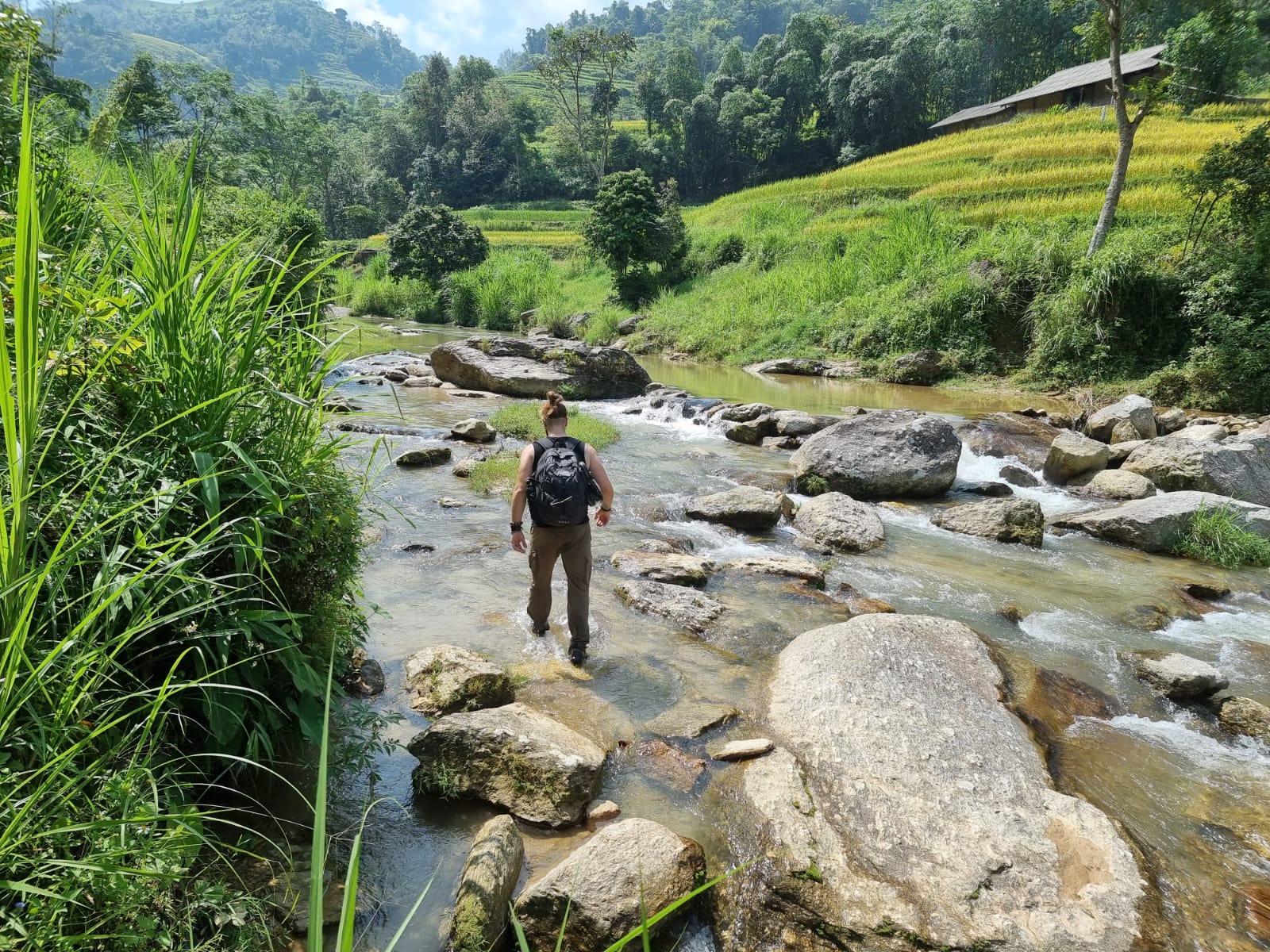 MULTIPLE DAYS HIKING TOUR IN HOANG SU PHI, HA GIANG
