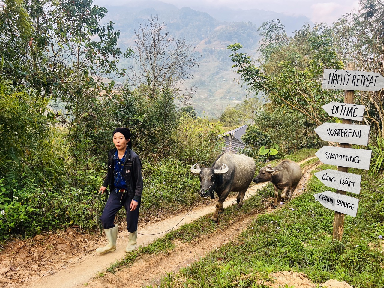 3 DAYS HIKING IN HOANG SU PHI, HA GIANG- SHARED GROUP.