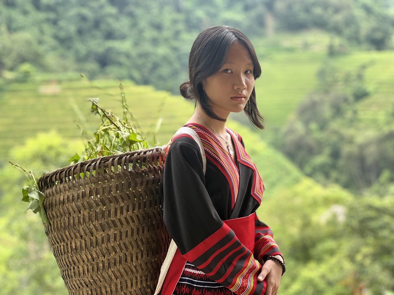 Hoàng Su Phì Mùa Lúa Chín: Bản Luốc- Bản Phùng- Chợ Phiên- Suối Khoáng Nóng