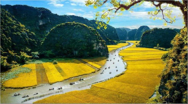 Sapa <=> Ninh Bình Bus