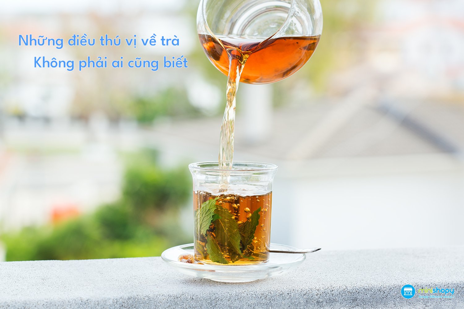 TRÀ - NHỮNG ĐIỀU CÓ THỂ BẠN CHƯA BIẾT