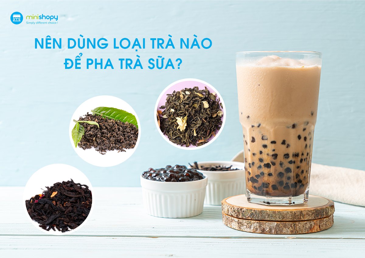 NÊN DÙNG LOẠI TRÀ NÀO ĐỂ PHA TRÀ SỮA?