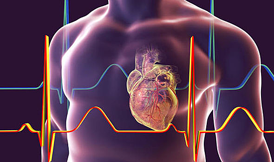 SUY TIM VÀ NHỮNG DẤU HIỆU CẢNH BÁO TRƯỚC CHO BẠN !
