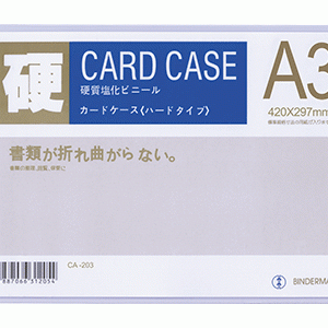 Cardcase khổ A3 (420 x 297mm)