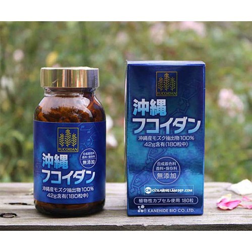 Viên tảo uống phòng ngừa, hỗ trợ điều trị ung thư Fucoidan xanh 180V  HapuMart