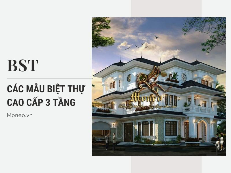 Bộ sưu tập các mẫu thiết kế biệt thự cao cấp 3 tầng đáng ngưỡng mộ