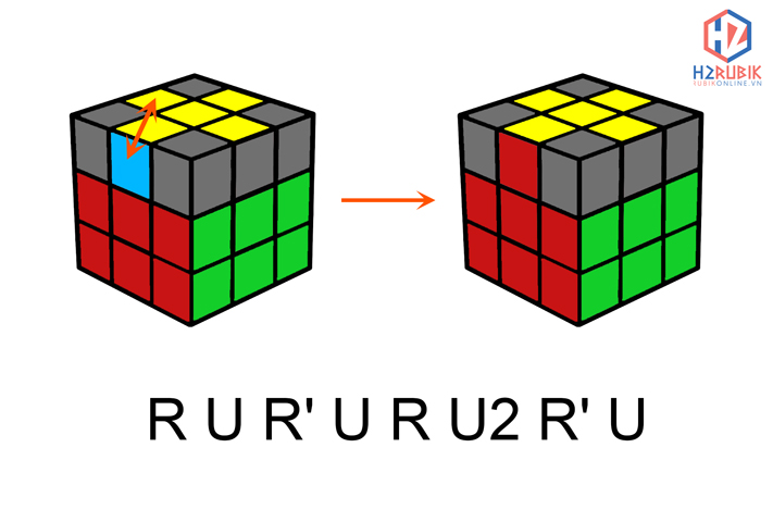 Bước 5: định hướng cạnh