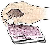 HƯỚNG DẪN CHƠI HALLI GALLI