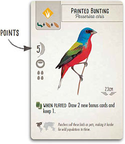 WINGSPAN BOARD GAME CÓ LUẬT CHƠI NHƯ THẾ NÀO?