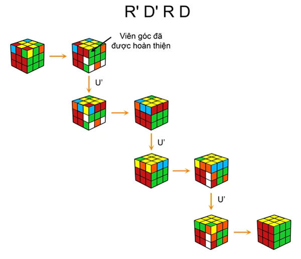 Cách chơi Rubik 3x3 dễ hiểu nhất cho người mới H2 Rubik Shop