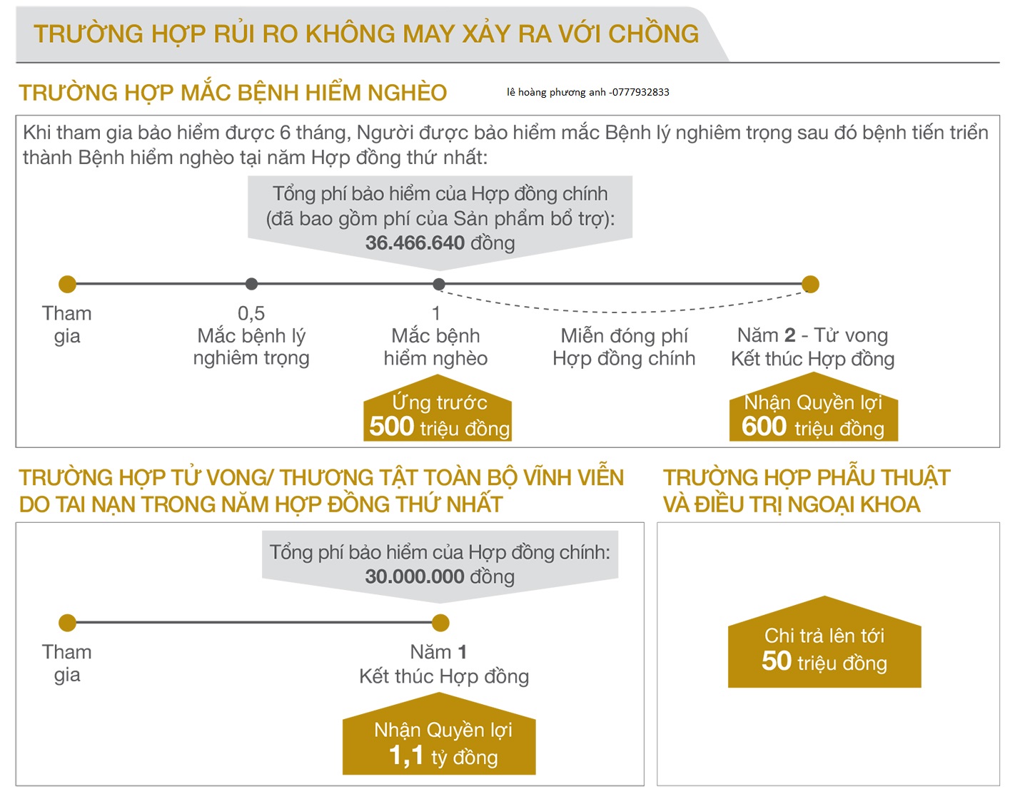 An Phát Trọn Đời Bảo Hiểm Bảo Việt Nhân Thọ Huế - 2