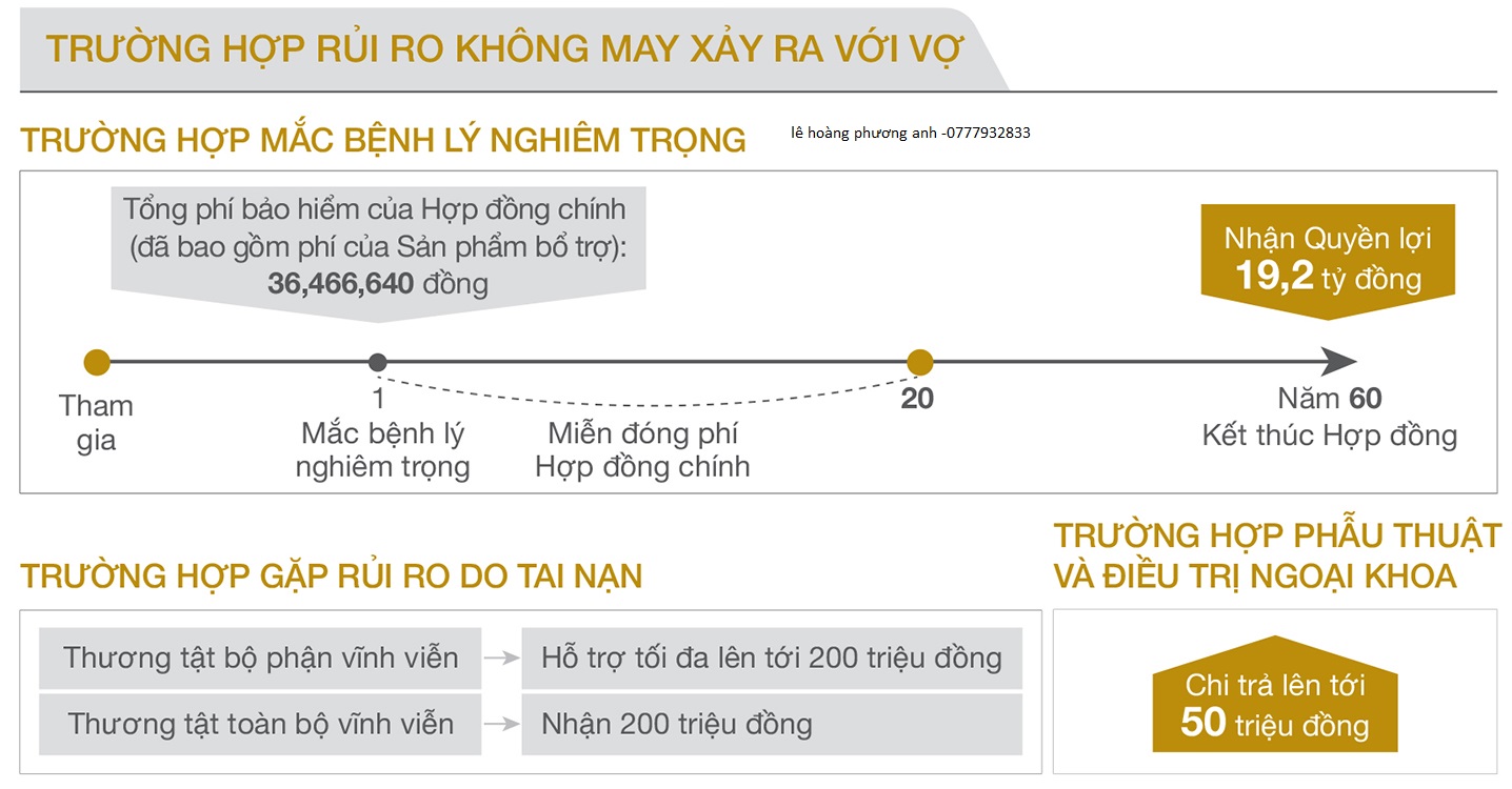An Phát Trọn Đời Bảo Hiểm Bảo Việt Nhân Thọ Huế - 3