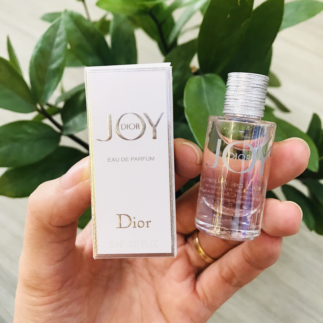 dior joy miniature