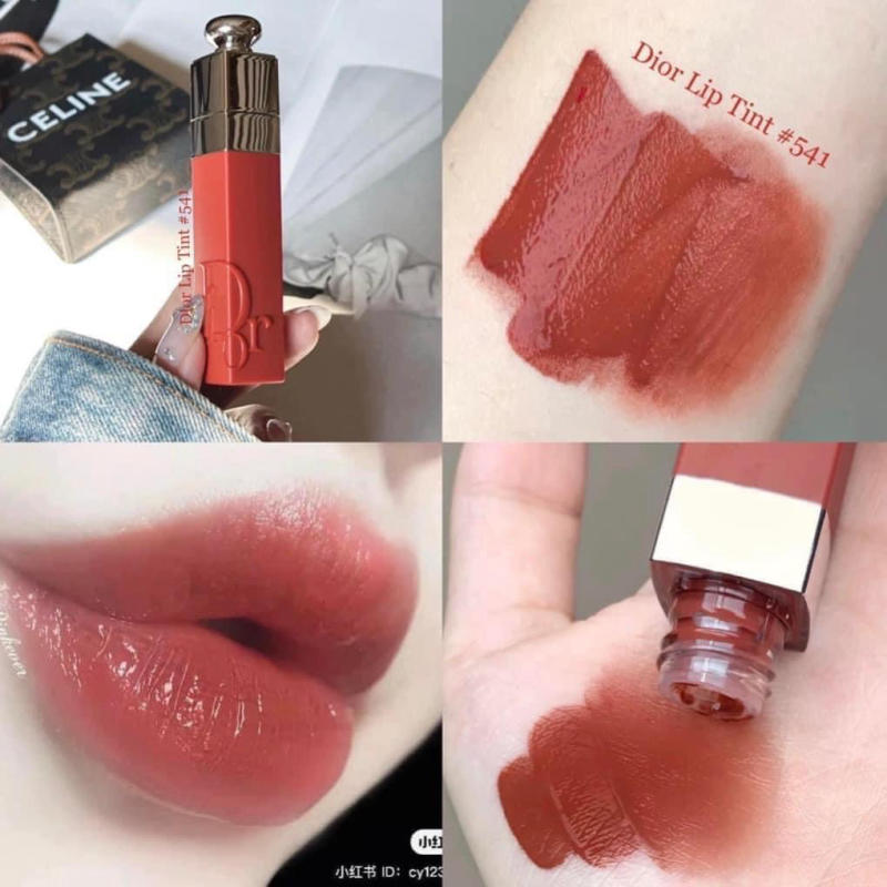 SON KEM DIOR ADDICT LIP TINT 541 NATURAL SIENNA T Hang Xach Tay Gia T t HeaStore