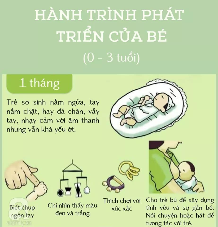 Hành Trình Phát Triển Của Bé