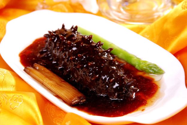 Hải sâm- Vị thuốc quý | TINH HOA XANH