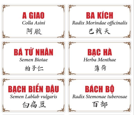 Bộ nhãn các vị thuốc Đông y thông dụng (xếp theo thứ tự ABC)