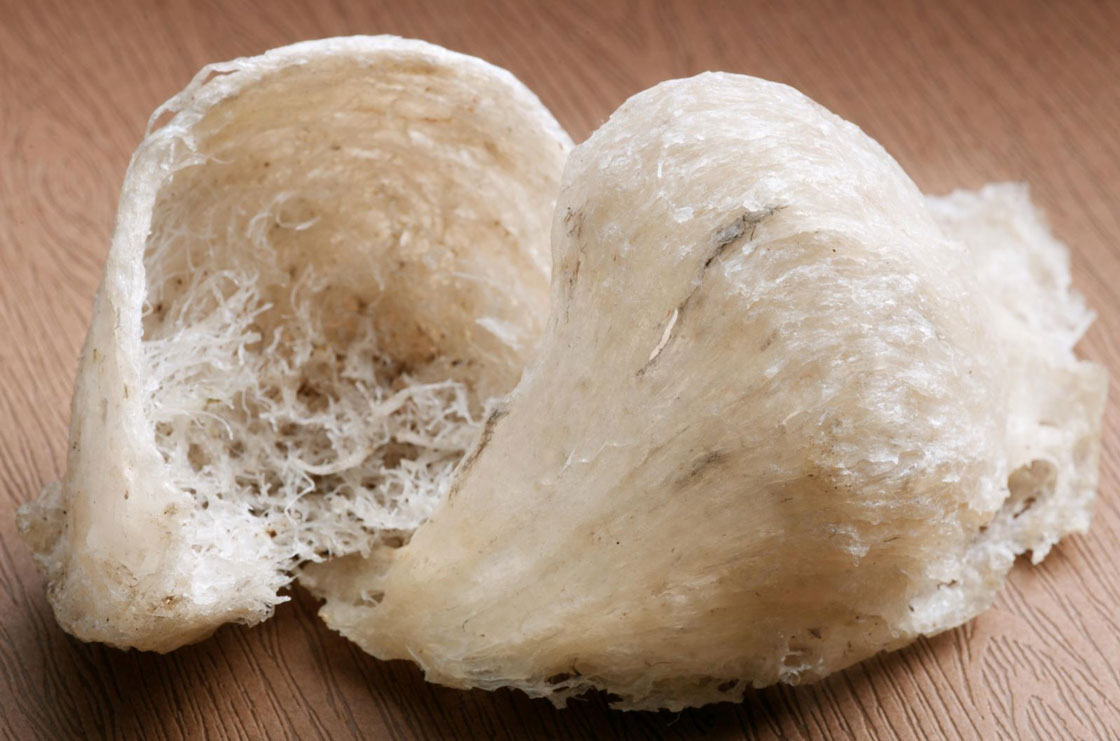 Yến tinh chế làm sạch hộp 100g