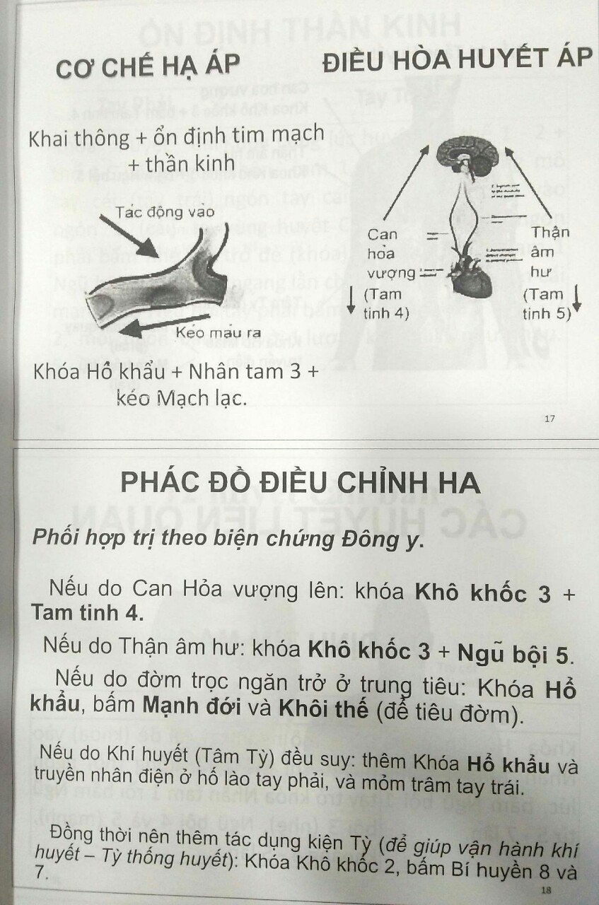 Bệnh học thực hành và bệnh án