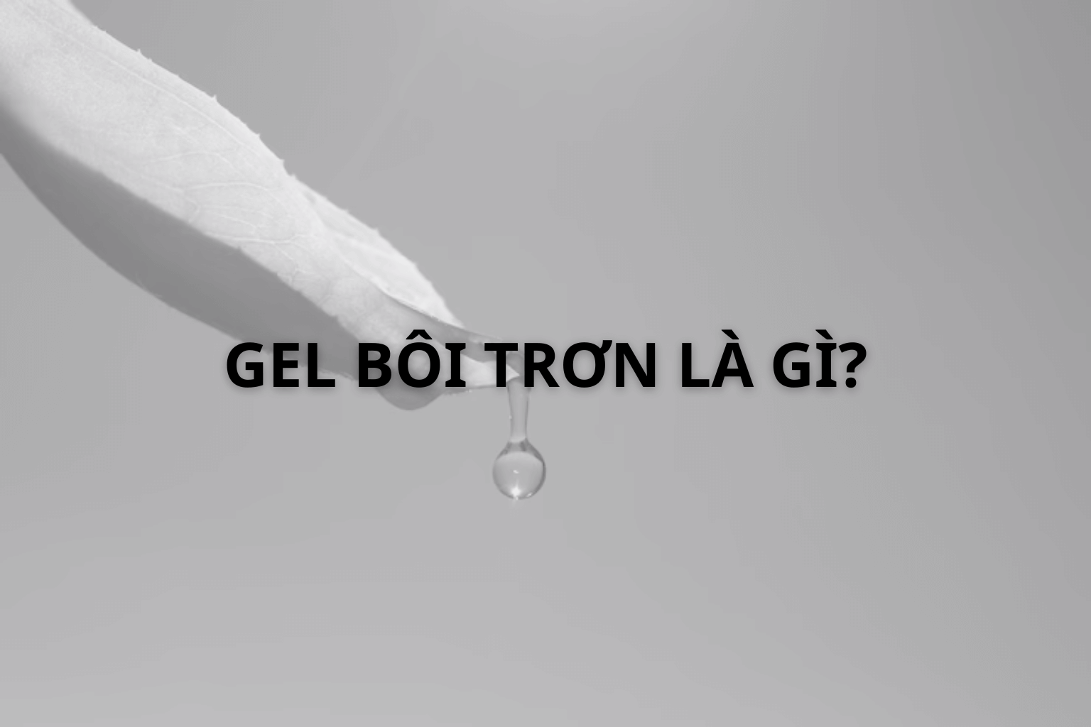 Gel Bôi Trơn Là Gì? Chất Bôi Trơn Trong Bao Cao Su Có Hại Không?