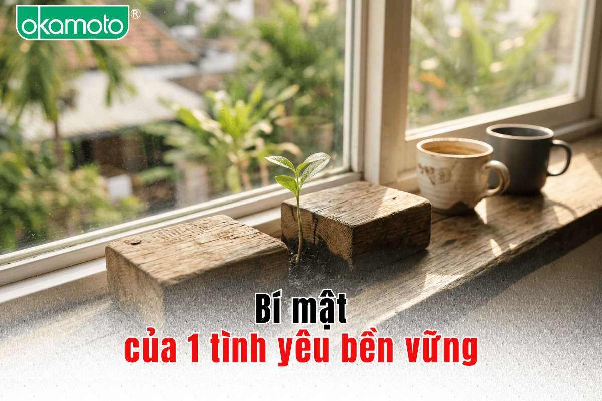 Bí mật của tình yêu bền vững: Từ thói quen thường nhật đến những đêm thăng hoa