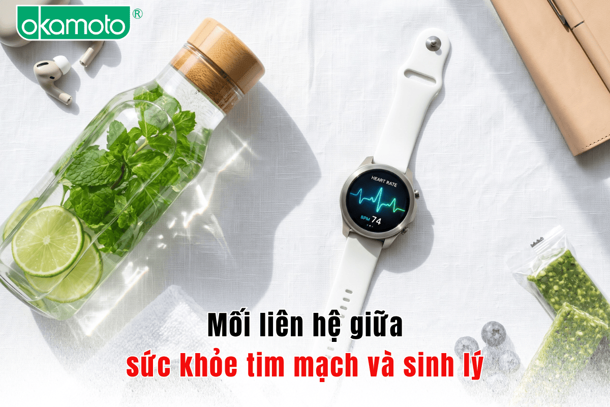 Mối liên hệ giữa sức khỏe tim mạch và sinh lý