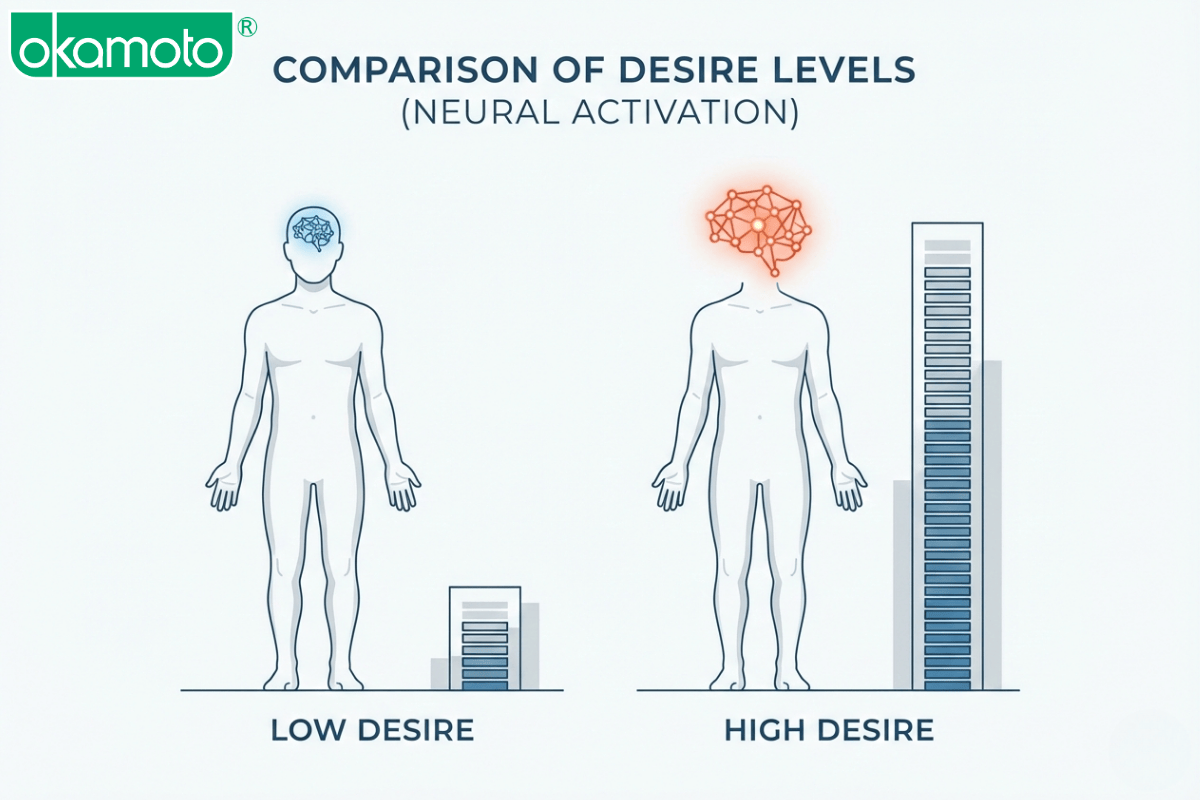 Vì sao ham muốn tình dục không giống nhau trong mối quan hệ