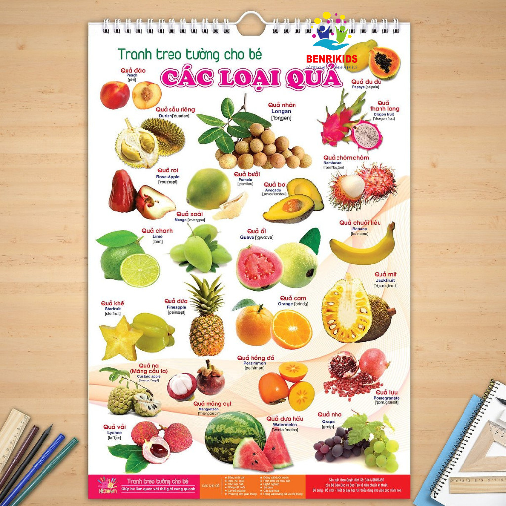 Bộ Tranh Treo Tường Bách Khoa Toàn Thư 12 Chủ Đề Về Thế Giới Xung Quanh Cho Bé Từ 0-6 Tuổi