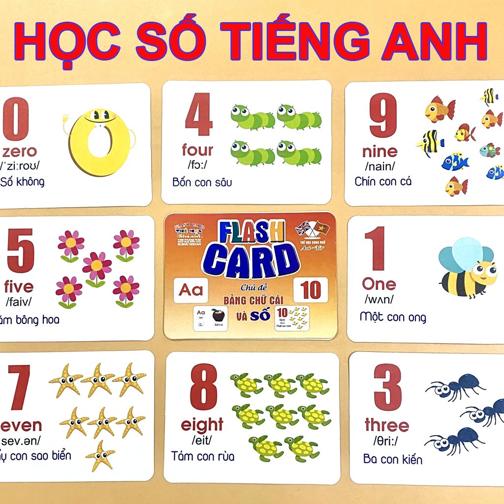 Bộ Thẻ Học Thông Minh 18 Chủ Đề Song Ngữ Anh - Việt Theo Phương Pháp Glenn Doman