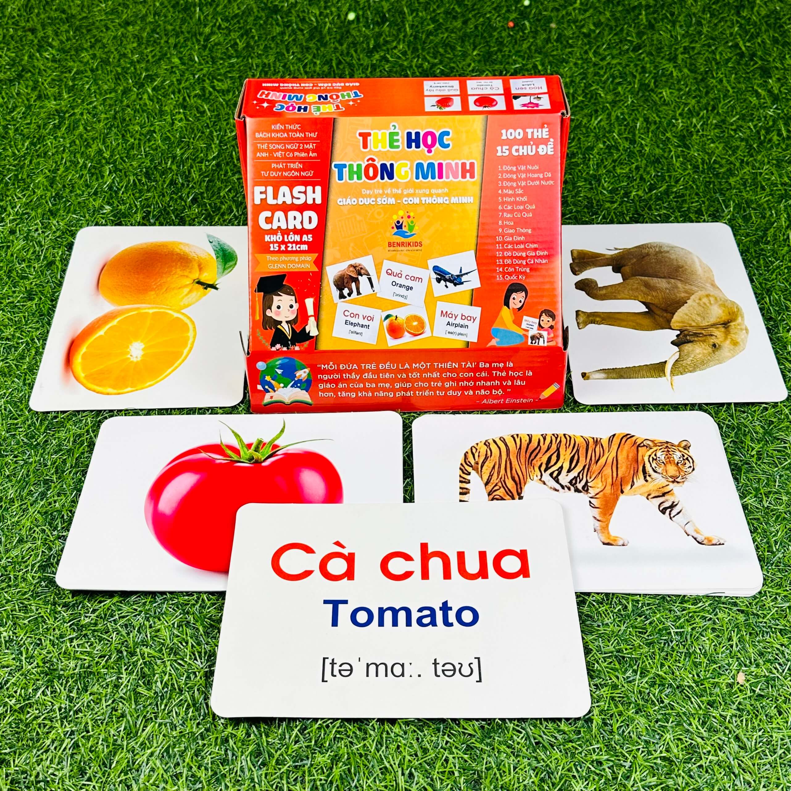 Bộ Thẻ Học Thông Minh 15 Chủ Đề Loại To Song Ngữ Anh - Việt Glenn Doman Flashcard Cho Bé Từ 0-6 Tuổi